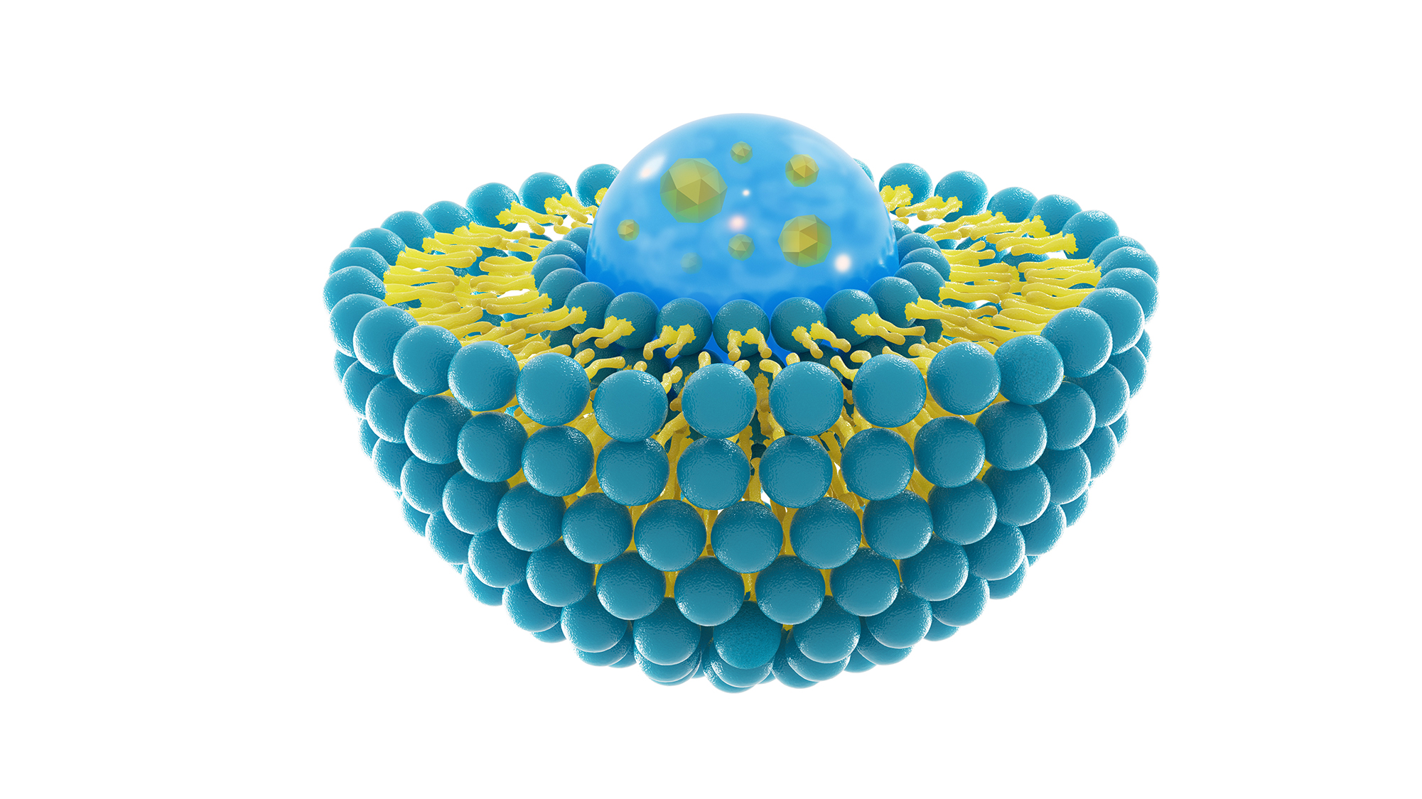 Liposome